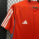 CRUZEIRO ENTRENAMIENTO II 24/25 HOMBRE (VERSIÓN FAN)